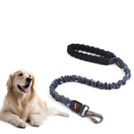 FlexiPaw Leash